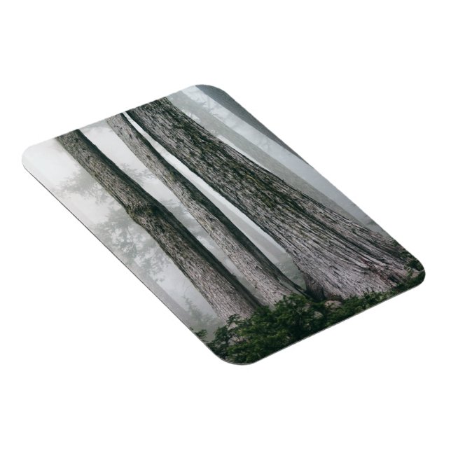 Magnet Flexible Invoquer la forêt (Côté Droit)