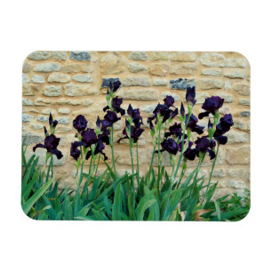 Magnet Flexible Iris à poils