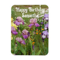 Iris Irises Fleurs Bleues Fleurs Florales Annivers