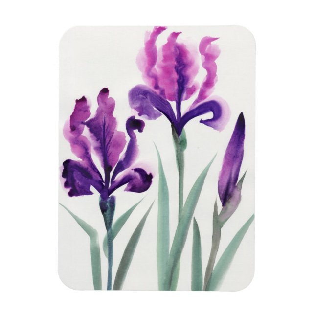 Magnet Flexible Irises (Vertical)