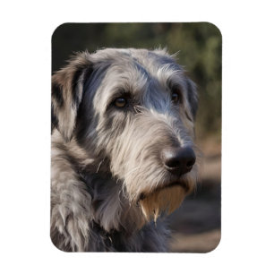 Magnet Flexible Irish Wolfhound Je Ne Suis Pas Amusé,