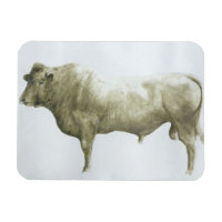 Islay Bull 2004
