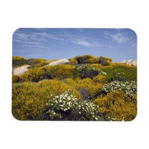 Magnet Flexible Italie, Sardaigne, Santa Teresa Gallura. Capo 3