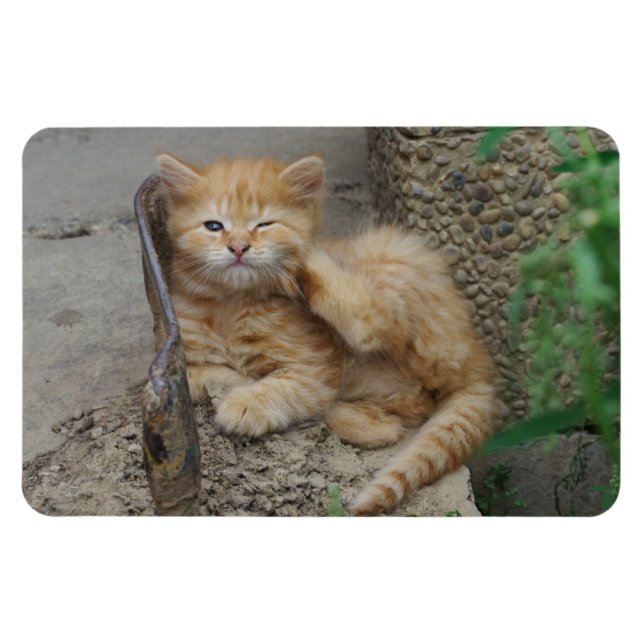 Magnet Flexible Itchy (Horizontal)