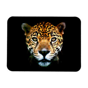 Magnet Flexible Jaguar