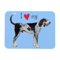 J'aime mon bluetick Coonhound