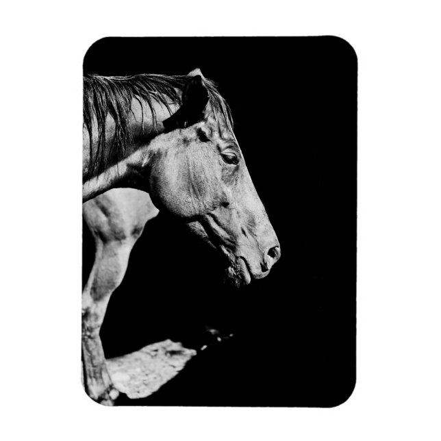 Magnet Flexible jambe de cheval (Vertical)