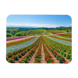 Magnet Flexible Jardin d'agrément Shikisai aucune ferme de fleu