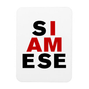 MAGNET FLEXIBLE JE SUIS SIAMESE