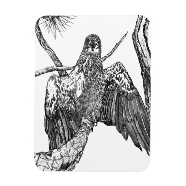 MAGNET FLEXIBLE JEUNE AIGLE MAJESTIQUE DANS LA POITE HÉRALDIQUE (Vertical)