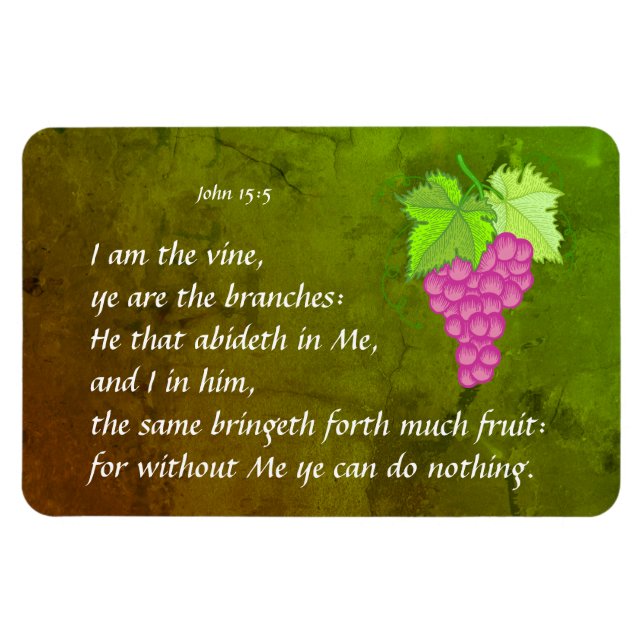 Magnet Flexible John 15:5 (Horizontal)