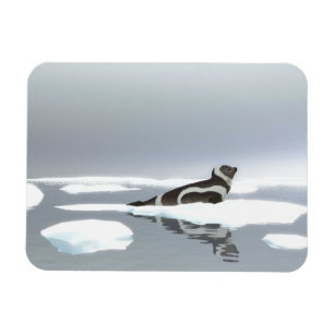 Magnet Flexible Joint de ruban sur la glace