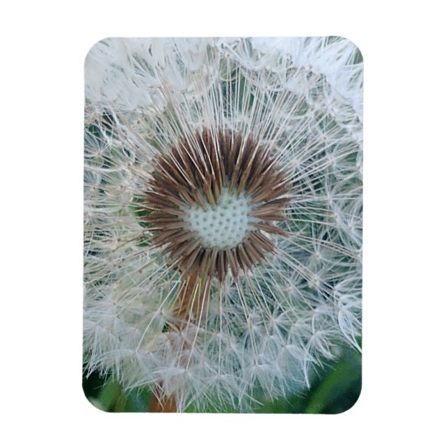 Magnet Flexible Joli Dandelion blanc (Vertical)