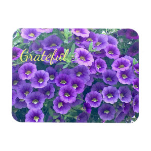 Magnet Flexible Jolie Gratitude pourpre Petunia