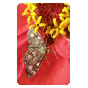 Magnet Flexible Jolie mousse sur aimant Premium Fleur Rouge