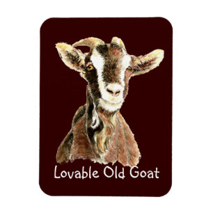 Magnet Flexible Jolie Vielle Chèvre, Humour animal de ferme