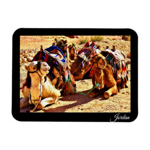 Magnet Flexible Jordanie