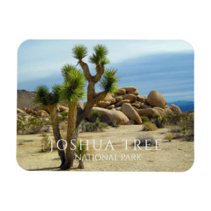 Magnet Flexible Joshua Tree, Boulders géants, Désert