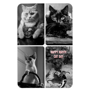 Magnet Flexible jour de chat noir blanc rouge
