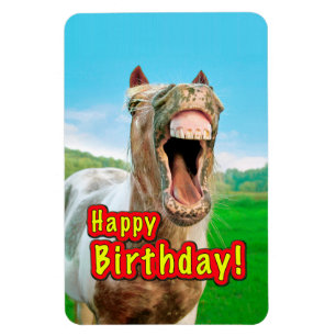 Magnet Flexible Joyeux anniversaire de la Happy horse