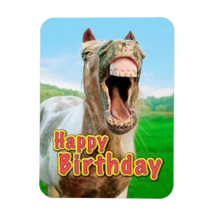 Magnet Flexible Joyeux anniversaire du cheval heureux