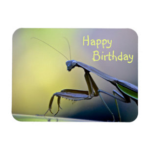 Magnet Flexible Joyeux Anniversaire priant Mantis