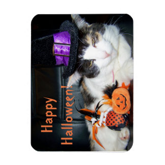 Magnet Flexible Joyeux Halloween Sorcière Chat Carte