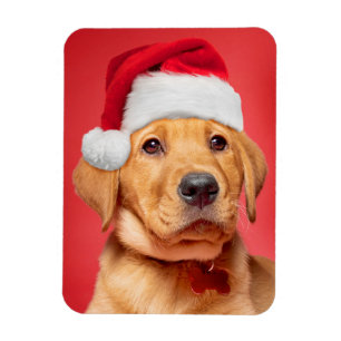 Magnet Flexible Joyeux Noël mignonne Labrador Chiot à Santa Hat