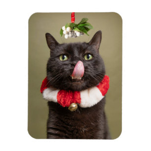 Magnet Flexible Joyeux Noël Pour N'Importe Qui Chat Sous Mistletoe