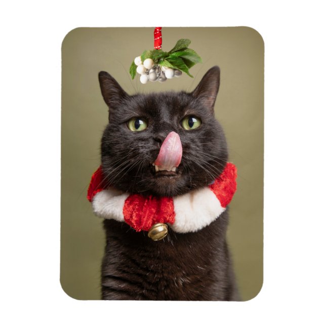 Magnet Flexible Joyeux Noël Pour N'Importe Qui Chat Sous Mistletoe (Vertical)