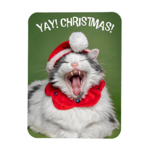 Magnet Flexible Joyeux Noël pour tous Happy Chat en Casquette