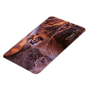 Magnet Flexible Joyeux Tau