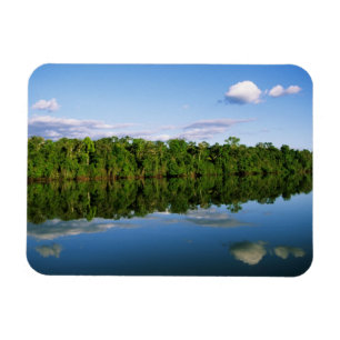 Magnet Flexible Juruena, Brésil. Bord forestier de rivière refl