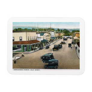 Magnet Flexible Kamehameha Ave., Hilo, Vintage Hawaii