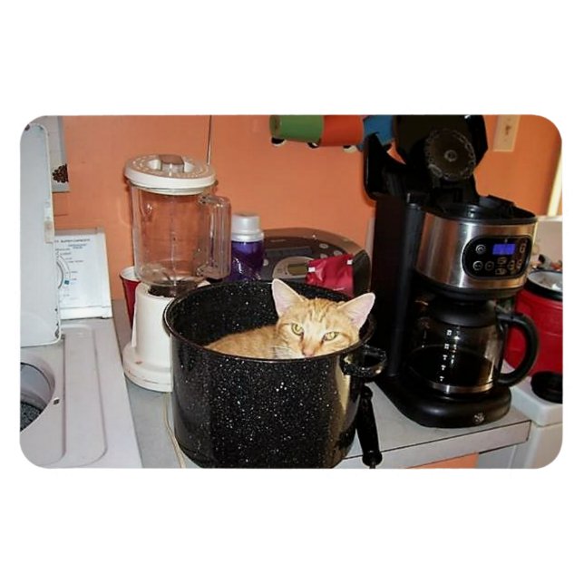 Magnet Flexible Kitty Stew (Horizontal)