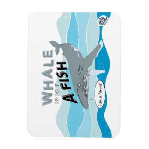Magnet Flexible La baleine n'est pas un poisson
