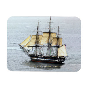 Magnet Flexible La Constitution américaine au masque complet