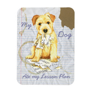 Magnet Flexible La ma Norfolk Terrier a mangé mon plan de cours