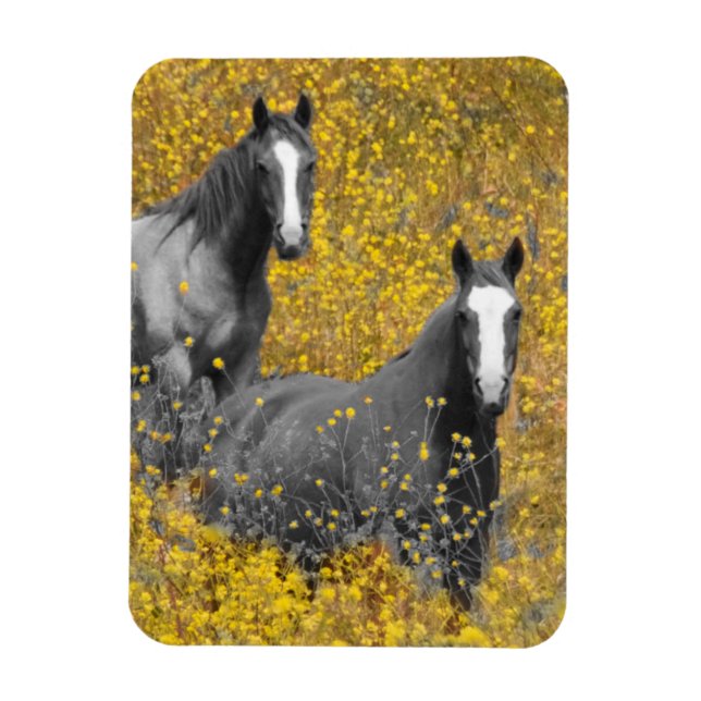 Magnet Flexible La moutarde et les chevaux (Vertical)