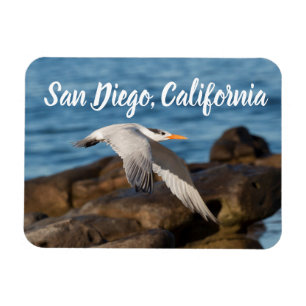Magnet Flexible La Terre vole San Diego, Californie