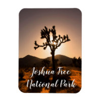 La tombée de la nuit commence à Joshua Tree