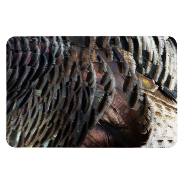 Magnet Flexible La Turquie sauvage Plumes I Abstrait Nature Design (Horizontal)