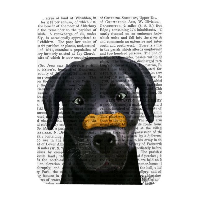 Magnet Flexible Labrador noir avec os sur le nez (Vertical)