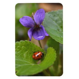 Magnet Flexible Ladybug sur les fleurs de violet doux