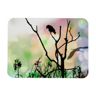 Magnet Flexible L'aimant Lonely Crow