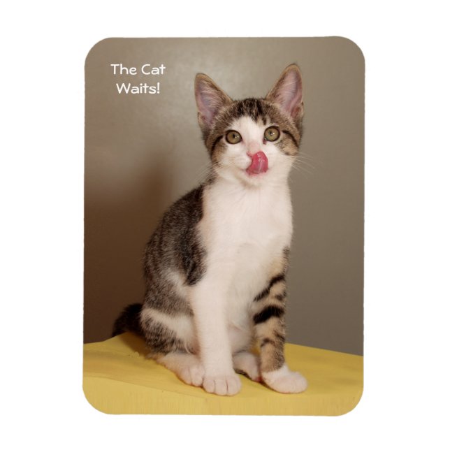 Magnet Flexible L'aimant Tabby Cat Can's Open Humour (Vertical)