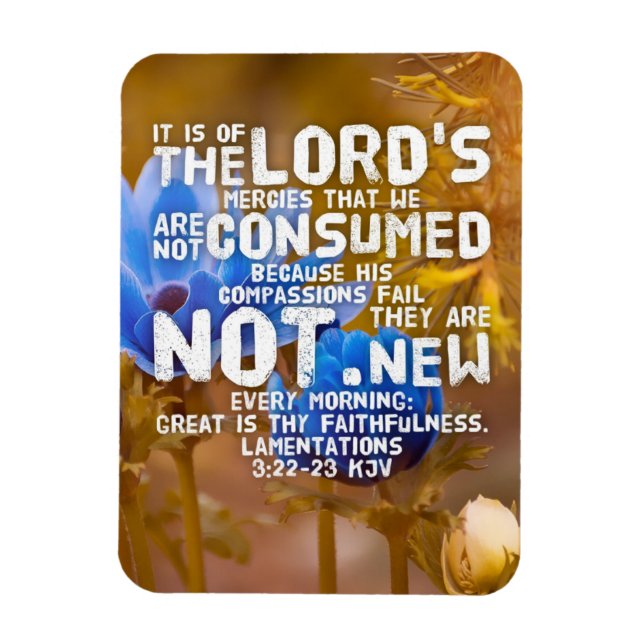 Magnet Flexible Lamentations 3:22-23 KJV Bible Verse (Vertical)