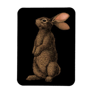 Magnet Flexible Lapin