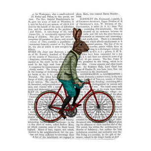 Magnet Flexible Lapin sur le vélo 2
