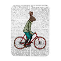 Lapin Sur Vélo 2